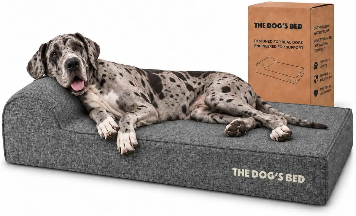 The Dog’s Bed Orthopedic Memory Foam Dog Bed with Headrest XL 6-Inch – Essentials for Dogs - Grey Linen / XXL (54"L x 36"W x 6"Th)