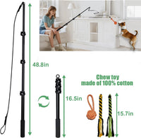 Flirt Pole for Dogs Heavy Duty 40inch Extendable Aluminum Alloy Dog - 48.8in/4-section - image 2