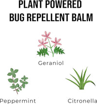 Quitch Mosquito Bug Repellent Roll On, Bug Spray for Kids Insect Repellent Travel Size, DEET-Free Vacation Essentials Travel Bug Spray, Natural Bug Repellent Wipes Alternative for People, Citronella