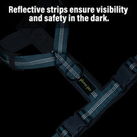Plutus Pet No Pull Dog Harness - M / Cyan - image 4