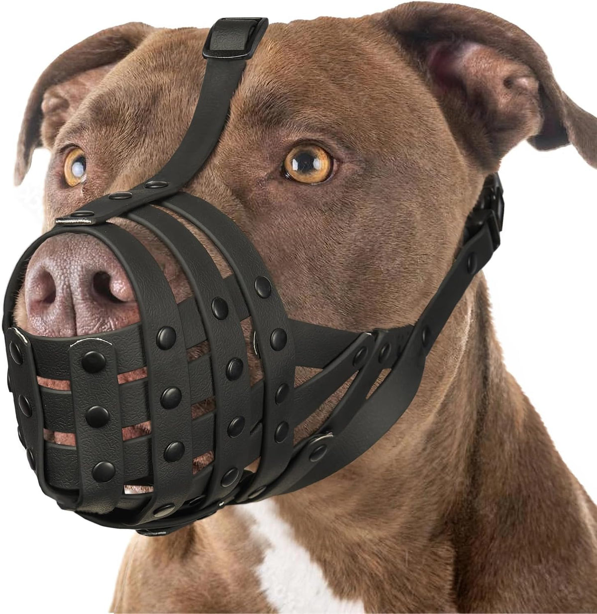 Pitbull Dog Muzzle for Large Medium Dogs Prevent Biting Scavenging – Essentials for Dogs - Black / M [Snout Cir: 9.75"-11"]