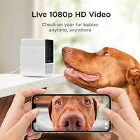 Petcube GPS Tracker for Dogs - Cam - pack of 2 Cameras - image 3