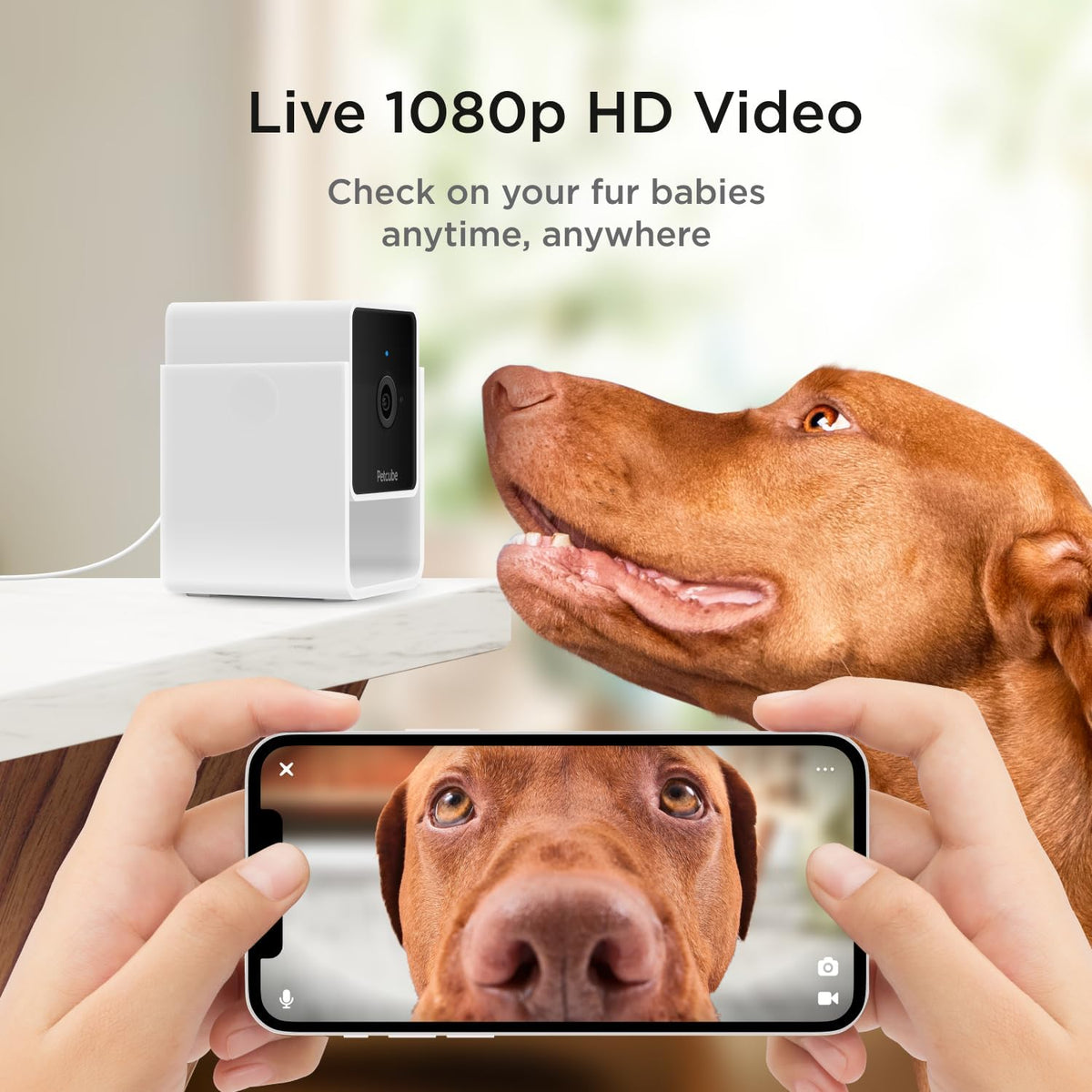 Petcube GPS Tracker for Dogs - Cam - pack of 2 Cameras - image 3