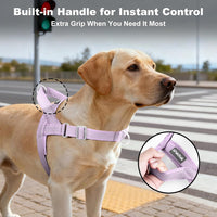 No Pull Dog Harness with Handle - Purple / L - image 3