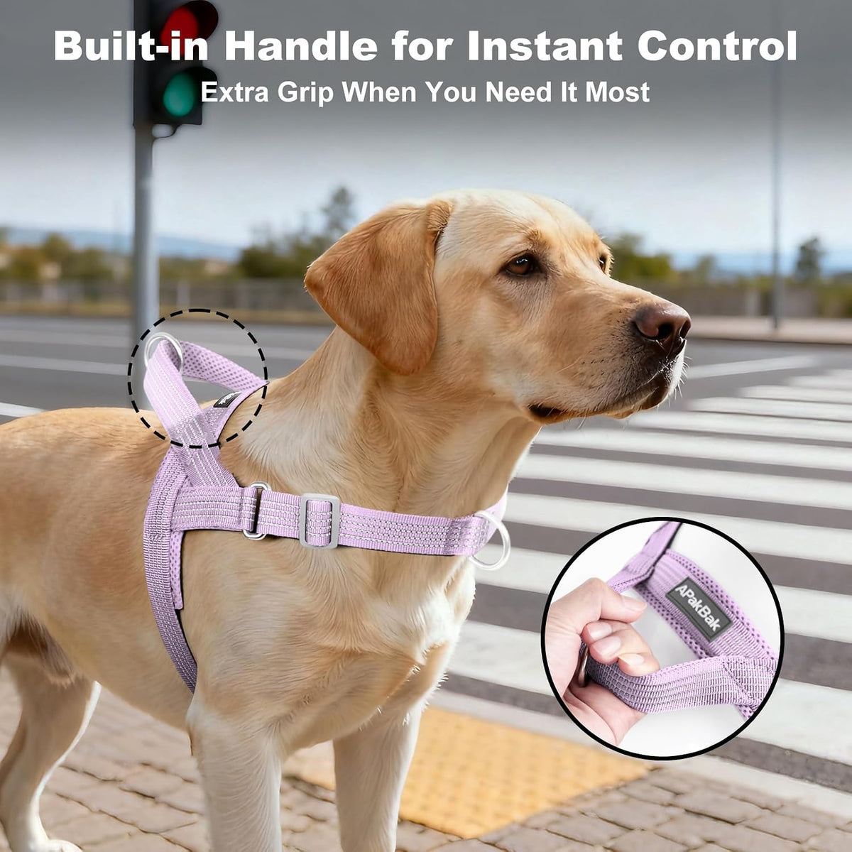 No Pull Dog Harness with Handle - Purple / L - image 3