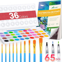 AROIC Watercolor Paint Set - 36 Watercolors + 10 Brushes (65 Pieces)