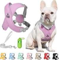Patas Lague Dog Harness Medium Sized Dog Pet Vest with Leash Set Pink - Lilac / XS (Neck 16-19.1'' Chest 18.8-21.5'')