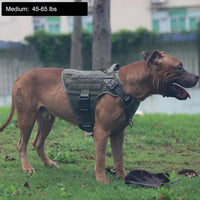 Tactical Dog Harness for Large Dogs, Reflective No Pull Dog Vest - Medium (Pack of 1) / Green - image 2