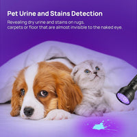 UV Flashlight Black Light - 2 Pack - image 3