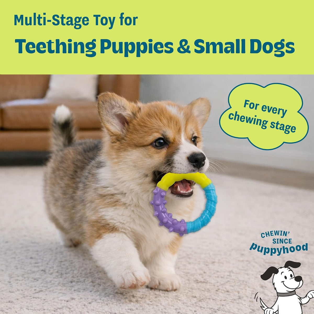 Cool Teething Stick Dental Dog Chew Toy, Soak & Freeze, 8.5" – Essentials for Dogs - Ring - image 4