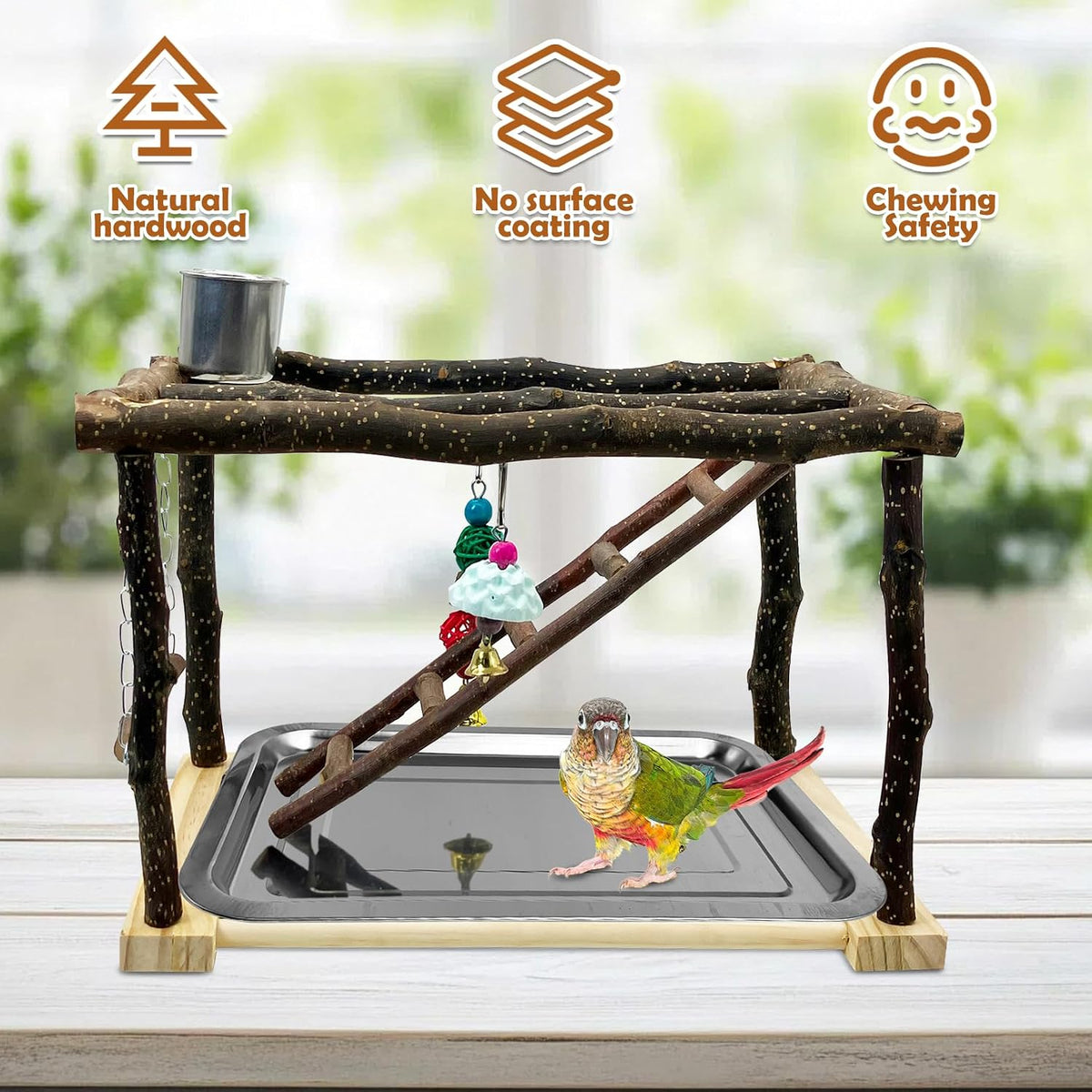 Tfwadmx Parrots Playstand Bird Play Gym Cockatiel Playground Wood - image 4