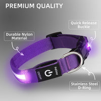 Super Bright LED Dog Collar, Waterproof Light up Collars – Essentials for Dogs - L/XL (Width:1",Length:18.5" - 26.5") / Purple - image 2