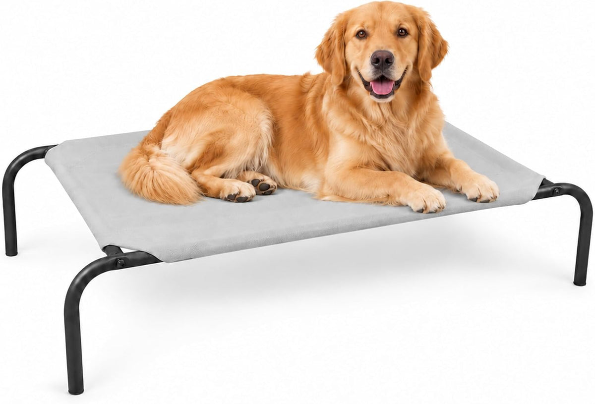 Raised Pet Cot for Small Pets – Essentials for Dogs - Large / Grey