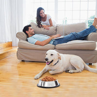10 Pcs Stainless Steel Dog Bowl Pet Feeding Bowl with Rubber Base - 7 oz - image 3