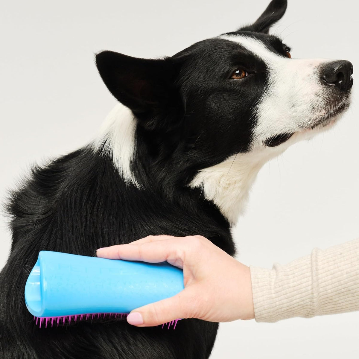 Pet Teezer De-Shedding Dog Brush for Long Hair Breeds, Large - image 3