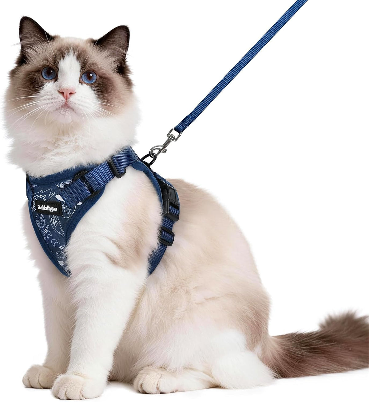rabbitgoo Cat Harness and Leash Set, Escape Proof Vest - M / Cosmic Ace