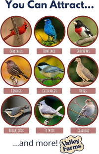 Valley Farms Cardinal Mix (10 LB) Wild Bird Food for Outside Feeders, Cardinal Bird Seed with Black Oil Sunflower Seeds and Safflower Seeds, Attract a Variety of Wild Birds