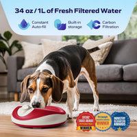 Filtered Portable Dog Water Dispenser - Red / Mini (34 oz / 1L) / Water Dispensers - image 4
