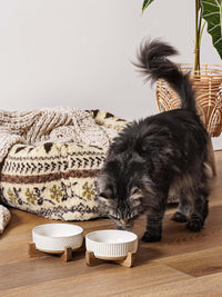 Ceramic Dog and Cat Bowl Set with Acacia Wood Stand - S-2 Cups / Lines+Dot