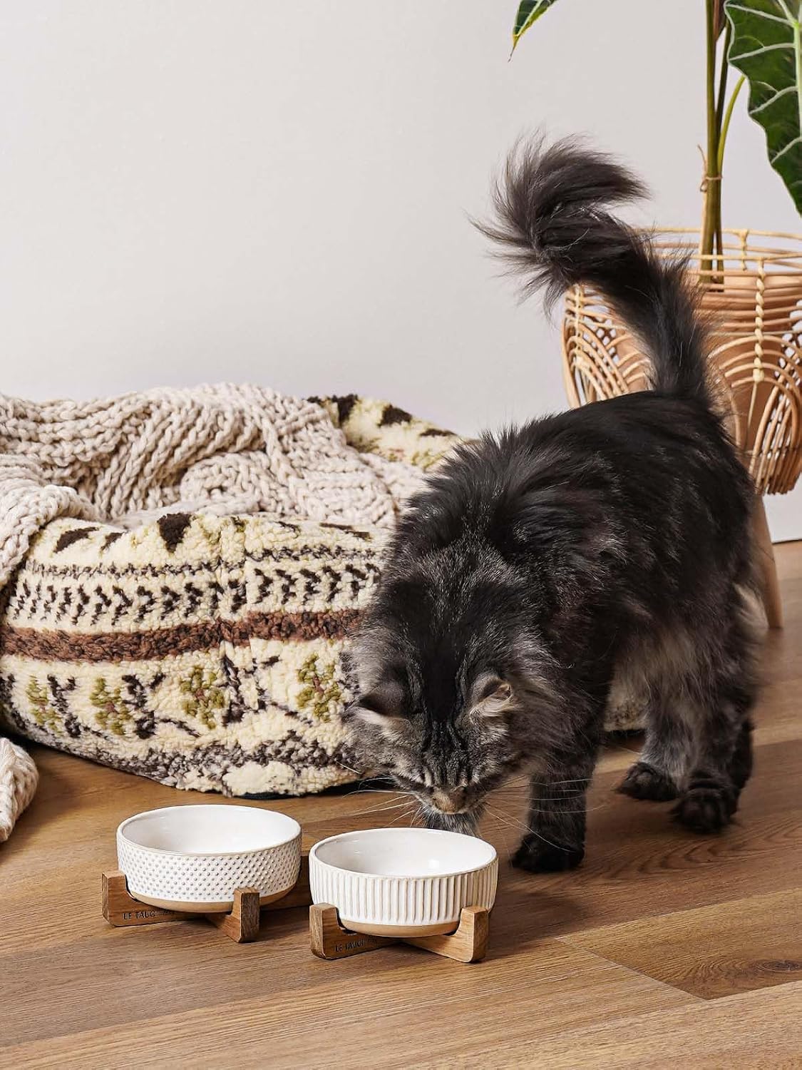 Ceramic Dog and Cat Bowl Set with Acacia Wood Stand - S-2 Cups / Lines+Dot