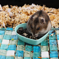 3 Pack Hamster Food Dish Small Cute Shape Food Bowl for Hamster - image 3