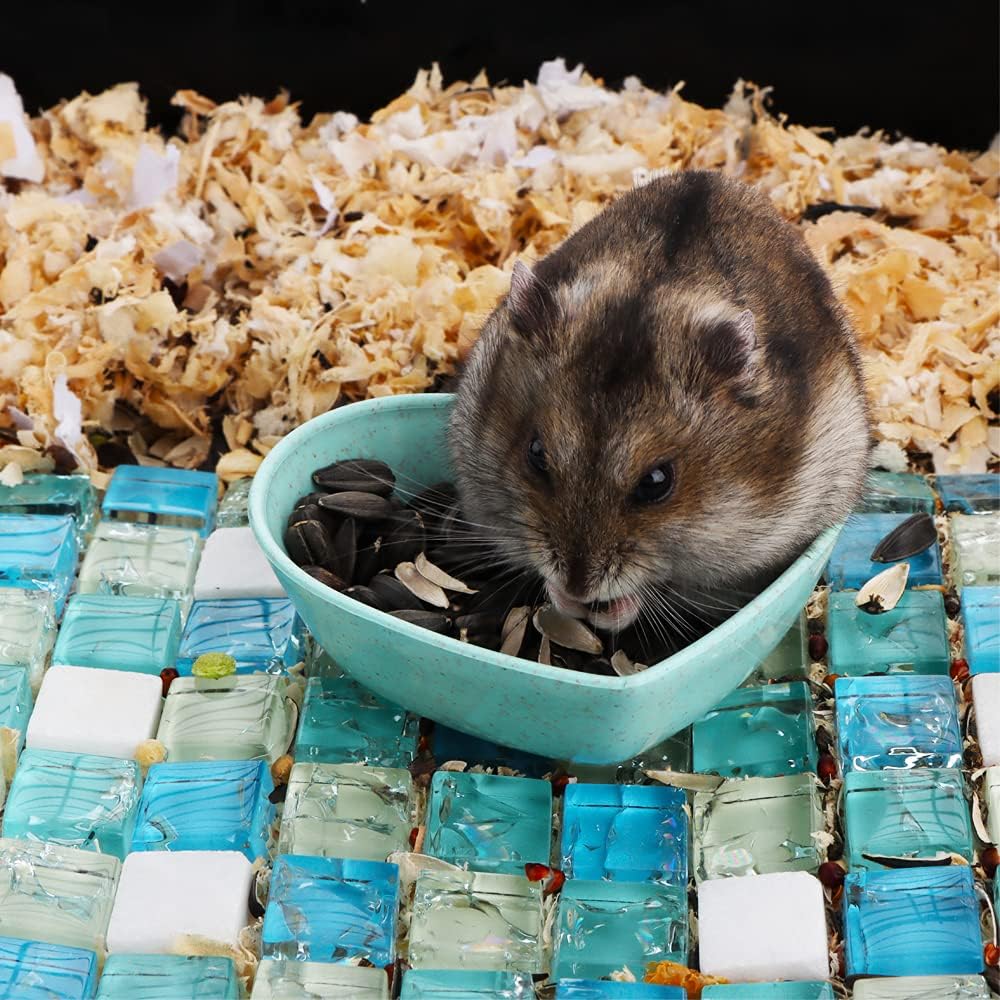 3 Pack Hamster Food Dish Small Cute Shape Food Bowl for Hamster - image 3