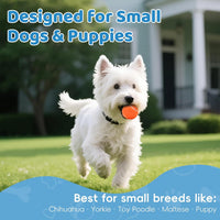 40 Pack 2 Inch Dog Tennis Balls, Small Tennis Balls for Dogs - Small-40P - image 3