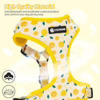 Dog Harness and Leash Set, Adjustable Dog Harness, Dog Leash - Lemon / M(Chest 15.7 - 22.1", Neck 12 - 15") - image 3