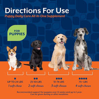 NaturVet All-In-One Puppy Daily Care, 6-In-1 Support Dog Soft Chews to Help Bones, Joints, Digestion, Teeth, Cognition, and More, Hickory Smoked Bacon Flavored Pet Supplement for Puppies, 60 Count Jar