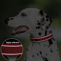 PetiFine Dog Collars for Medium Dogs - Red / Medium (14.5"-19") - image 4