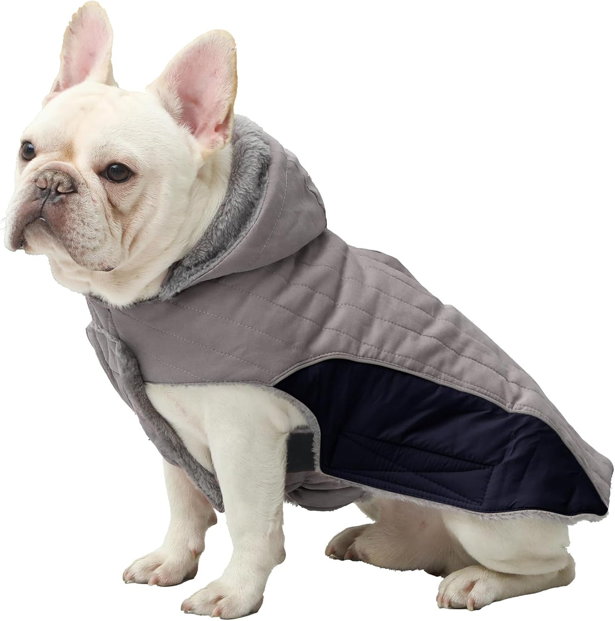 Warm Fleece Dog Hoodie for Small Dogs, Winter Puppy Coats - Grey / Small