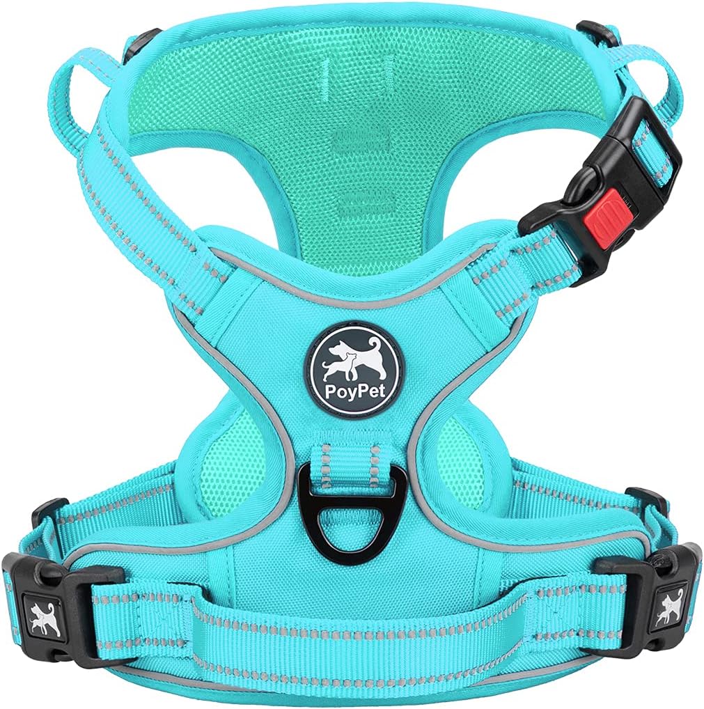 PoyPet No Pull Dog Harness Medium with Front Clip & Neck Release - XL / Mint Blue(Matching Trim)