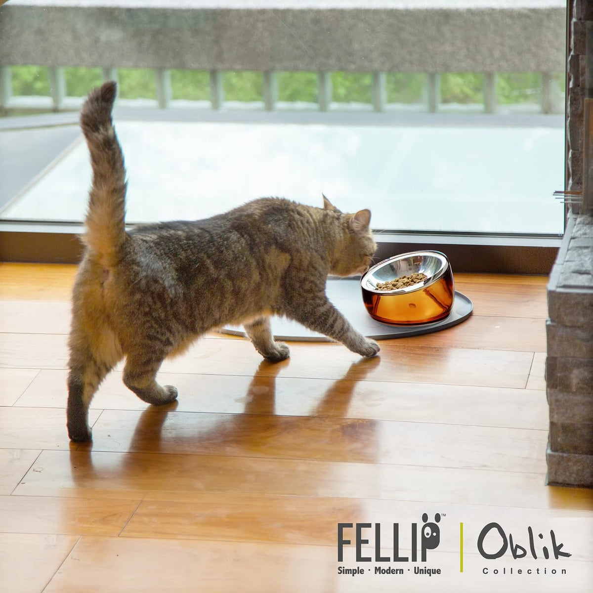 Felli Pet Oblik Acrylic Raised Dog Food Water Bowl Stainless Steel - Gold / 0.5 Cups Shallow Dish - image 4