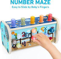 Wooden Hammering Pounding Toy Montessori Toys for 1+ Year Old – Fun for Kids & Family - image 4