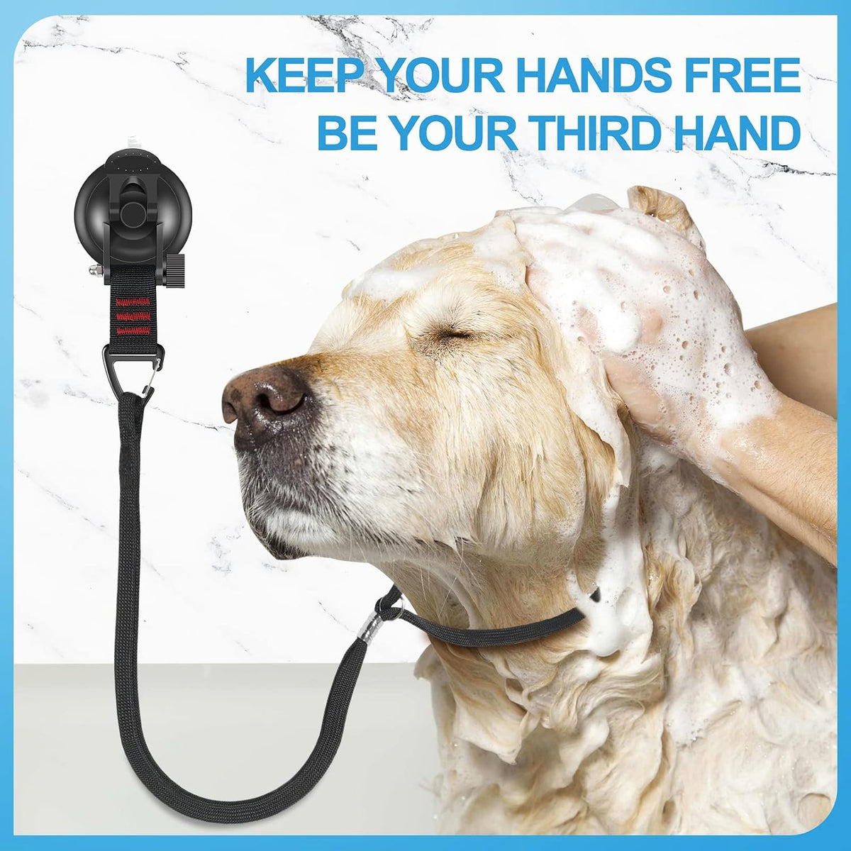 Dog Bathing Tether Suction Cup - image 2