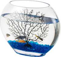 hygger Mini Glass Oblate Fish Bowl Kit
