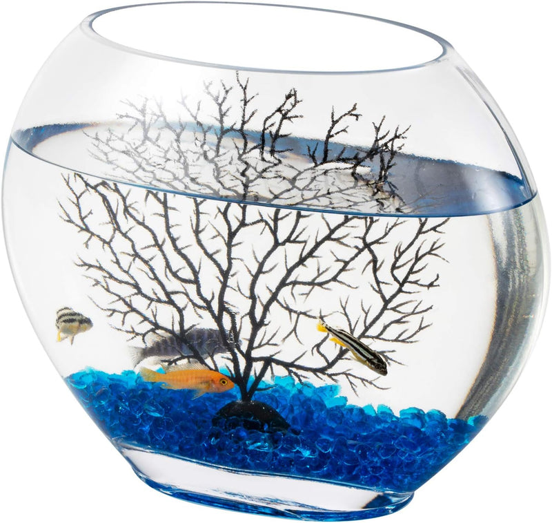 hygger Mini Glass Oblate Fish Bowl Kit
