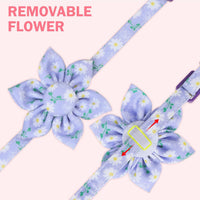 Cat Collar Breakaway, Soft Kitten Collar with Bell, Daisy - Floral (Pack of 2) - image 4