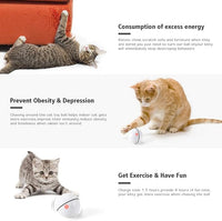 WWVVPET Interactive Cat Toys Ball with LED Light, 360 Degree Self Auto Rotating Smart Ball, USB Rechargeable Spinning Cat Ball Toy,Stimulate Hunting Instinct Kitten Funny Chaser Roller Pet Toy