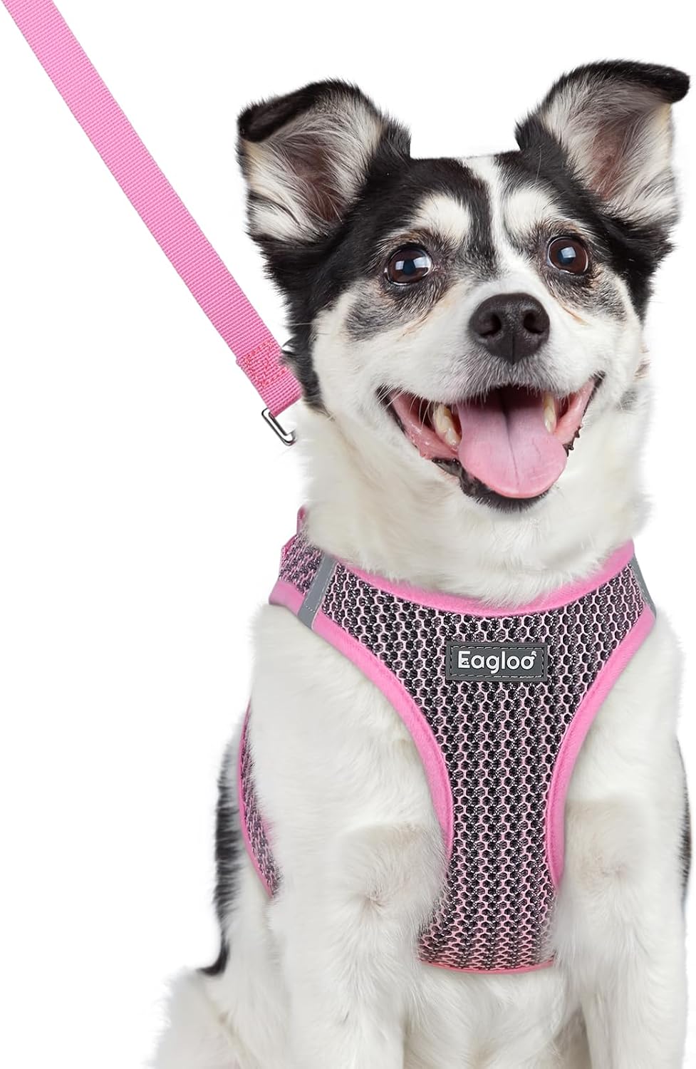 Eagloo Small Dog Harness and Leash Set - L(Chest:18.2"-20.5") / Pink
