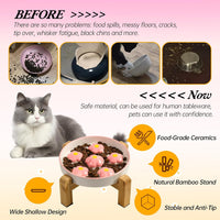 Ceramic Slow Feeder Cat Bowl, 6.3" Whisker Friendly Anti-Vomit - Pink + Stand - image 4