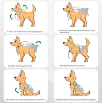 Idepet Female Dog Diapers with Suspender Detachable - 3 Pcs Black / XL - image 2