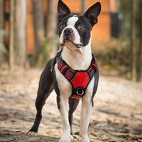 rabbitgoo Dog Harness Small Sized, No Pull Dog Vest with 3 Buckles, Adjustable Soft Padded Pet Harness with Easy Control Handle and Reflective Strips, Red, S