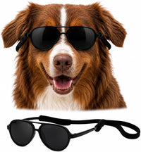 G010 Dog pet Costume Aviator Sunglasses for Medium Breeds – Essentials for Dogs - black / uv400