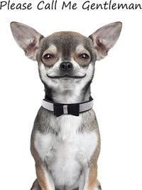 Dog Collar for Small Dogs - L / black1 - image 4
