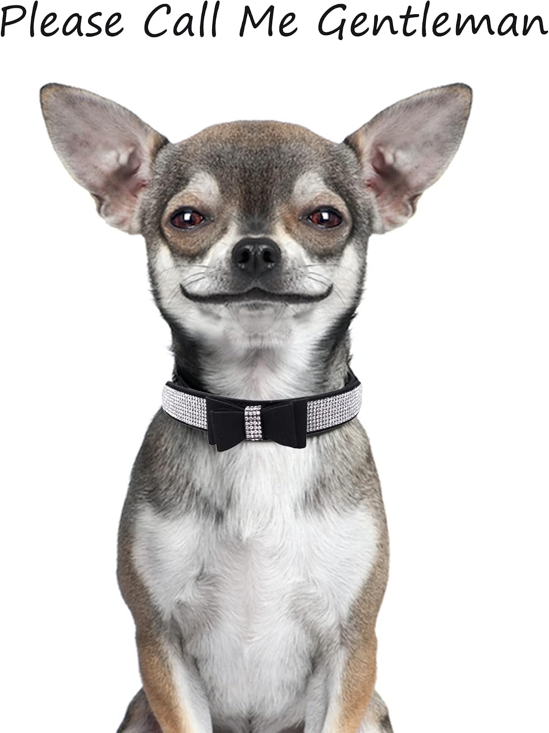 Dog Collar for Small Dogs - L / black1 - image 4