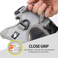 Truelove No Pull Dog Harness with Easy Control Handle and 2 Leash - Large / Gray - image 4