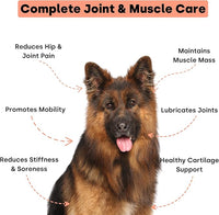 Joint & Recovery | 2-in-1 Joint & Muscle Chews. Help Reduce Pain & Increase Daily Activity. Helps with Arthritis and Pain Prevention. Tasty Trout Flavor.