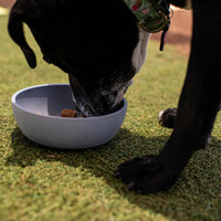 Loving Pets, Dolce Bamboo - Slate Grey / Large Bowl - image 4