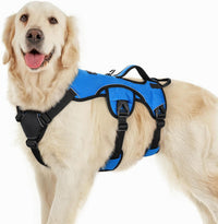 rabbitgoo Escape Proof Dog Harness for Large - Blue / Large